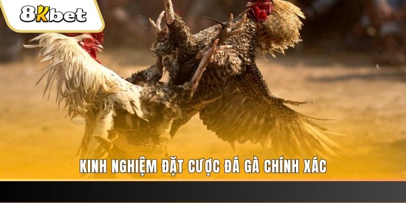 w88 club PA Trực Tuyến