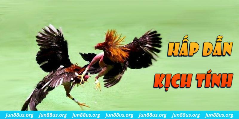 w88 club đăng nhập sòng bạc dễ thắng