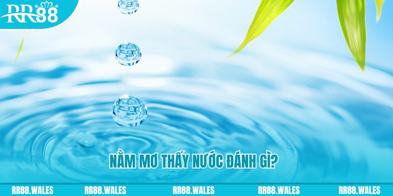 w88 club YGR Bắn cá