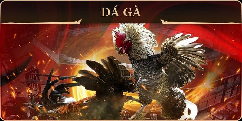 w88 club đăng nhập sòng bạc uy tín