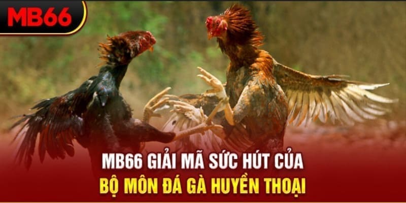 w88 club Long Hổ 2