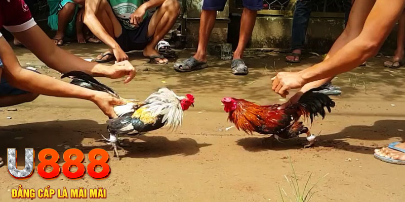 w88 club nổ hũ may mắn