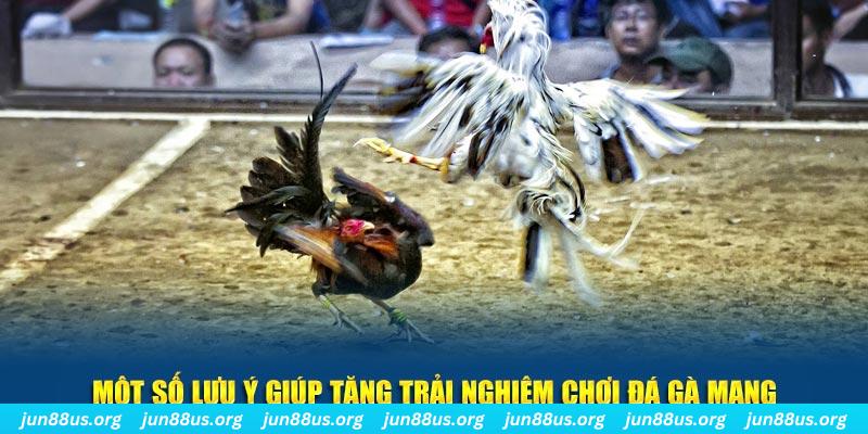w88 club tt88 bắn cá nổ hũ