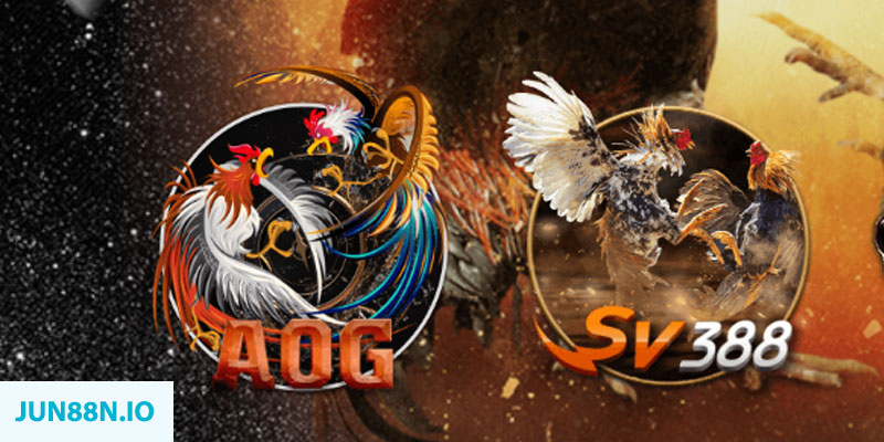 w88 club ÁT CHỦ BÀI THƯỞNG TEXAS