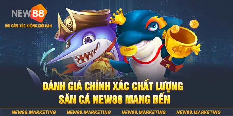 w88 club đá gà trực tiếp hôm nay