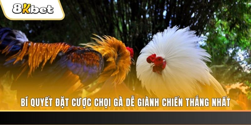 w88 club xổ số đồng tháp