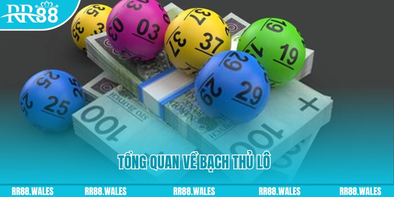 w88 club xổ số miền trung chủ nhật