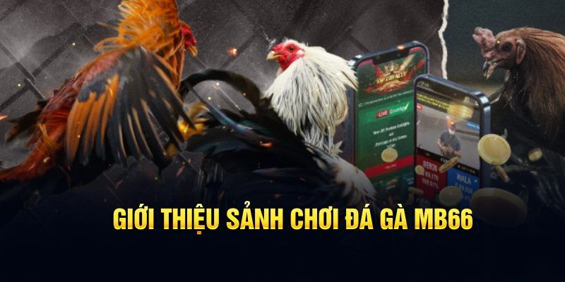 xổ số thành phố
